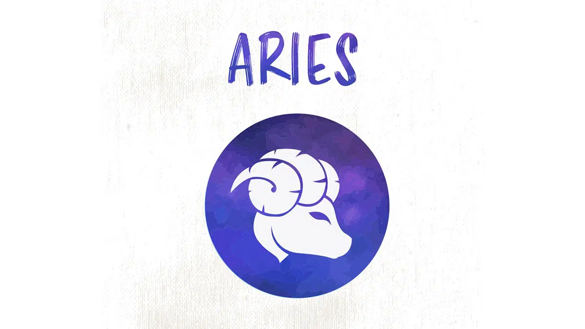 Aries budget