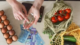 Food budget: how to reduce it? Discover 10 life-changing tips and tricks!