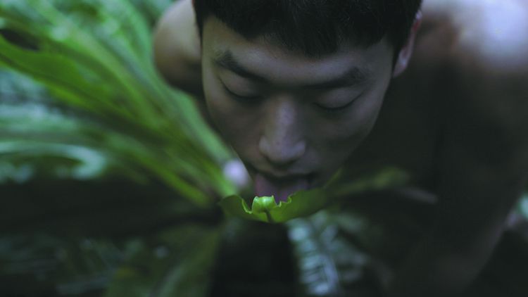 Pteridophilia II, video by Zheng Bo.  Her work is concerned with creating equality for all species. 