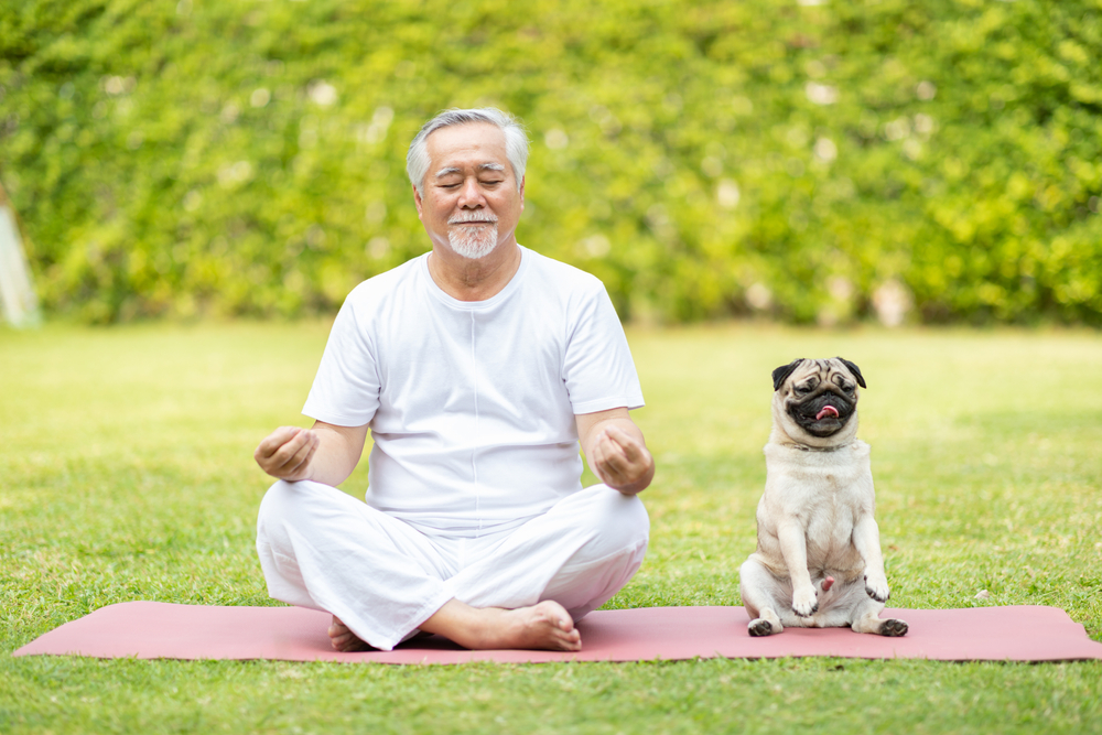 How to meditate: old man meditating with his dog