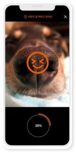 Petnow Dog Nose Print Application