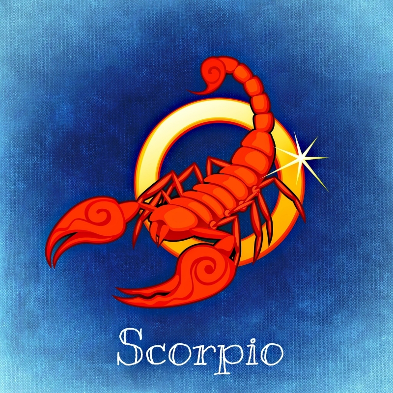 which zodiac sign is the smartest scorpio qualities character