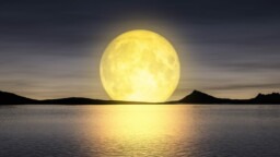 Full moon 2022: the effects on your astrological sign this Tuesday, June 14