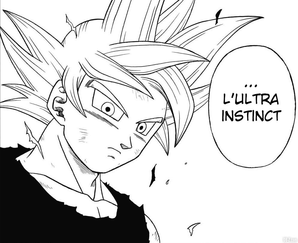 Ultra Instinct Perfect Goku