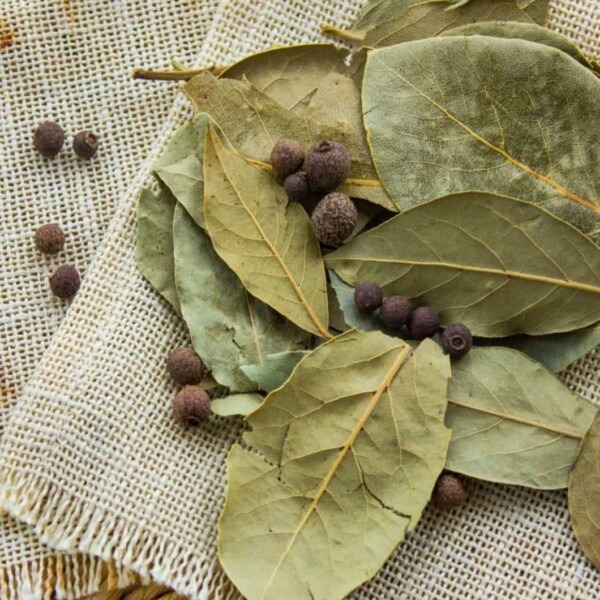 Bay Leaves For Love: Love Rituals