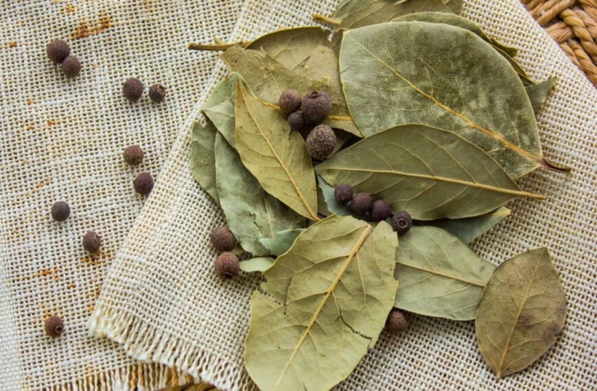 Bay Leaves For Love: Love Rituals