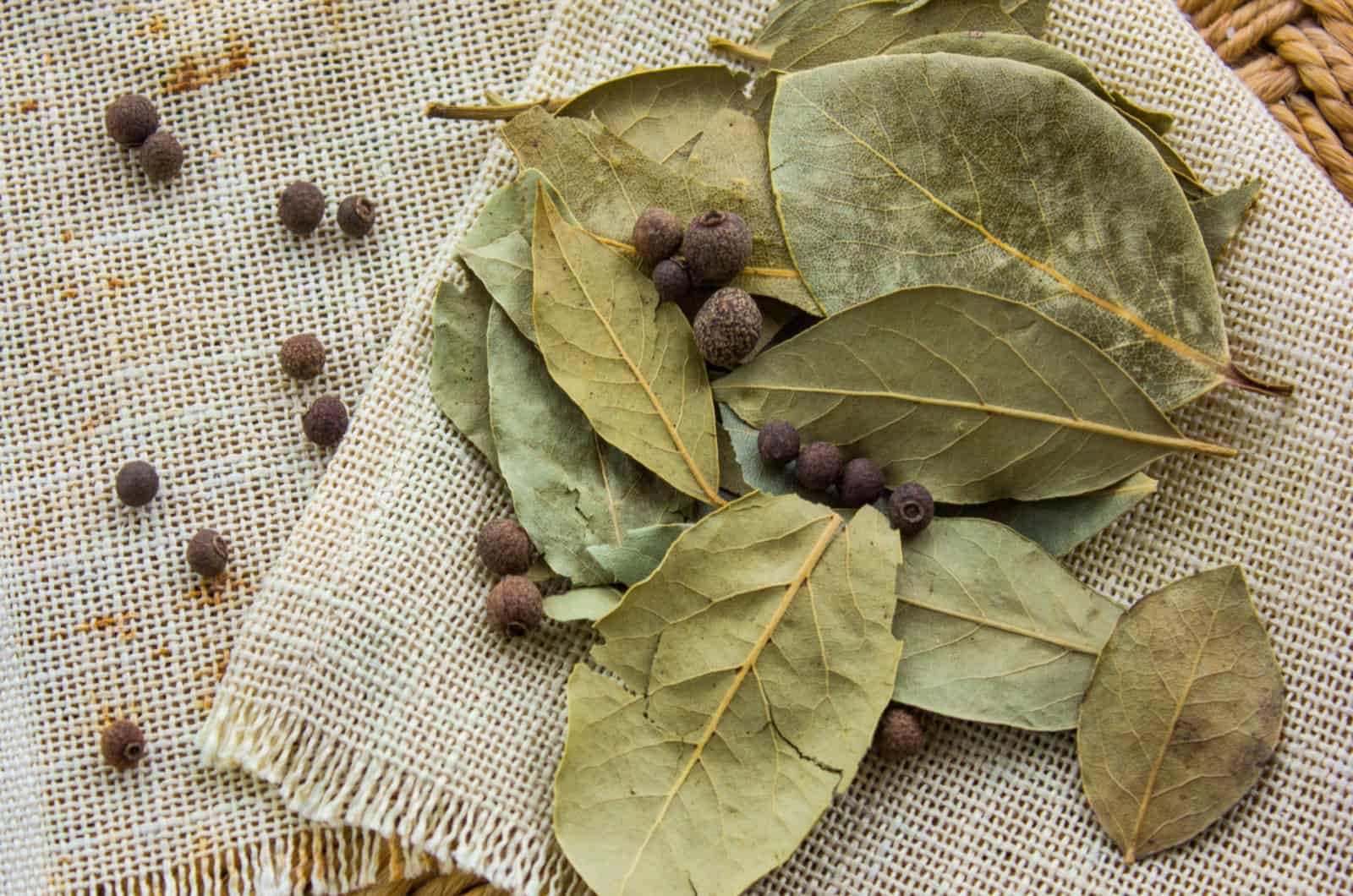 Bay Leaves For Love Love Rituals