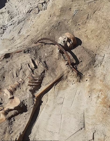 Archaeologists unearth ‘vampire’ skeleton