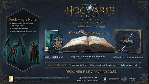 Hogwarts Legacy Sony presents us with a quest exclusive to