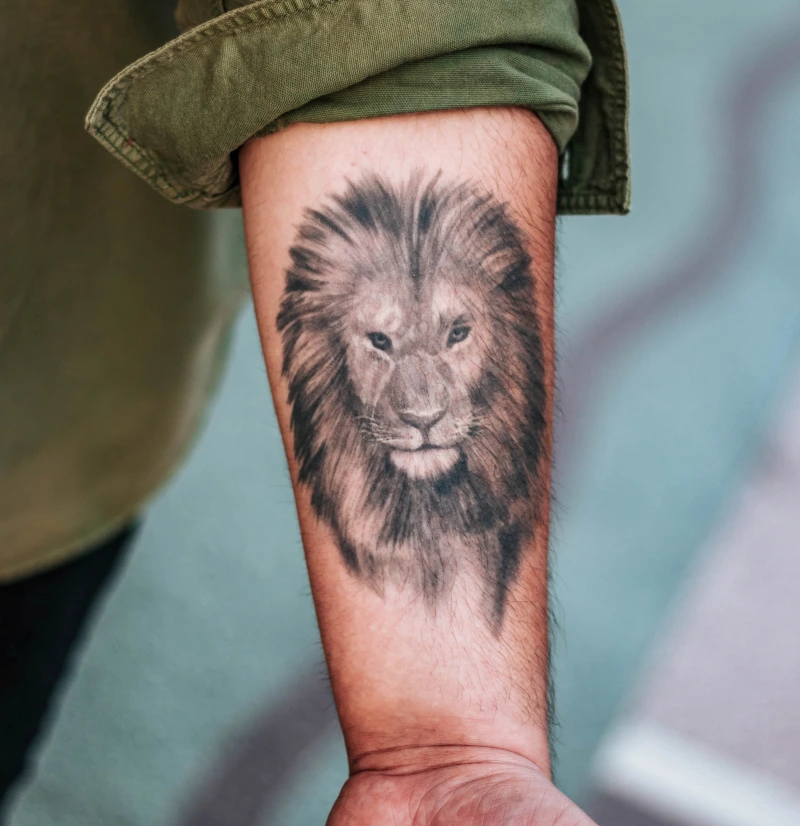 tattoo man lion drawing body ink black symbol