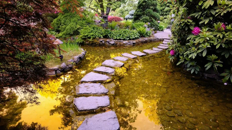garden pond at path built from stones