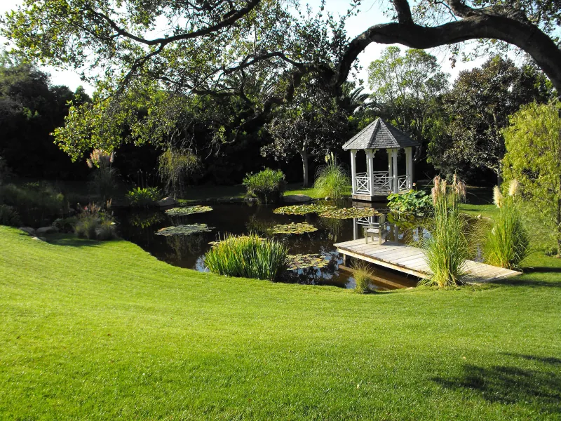 image of a beautiful garden with a lake
