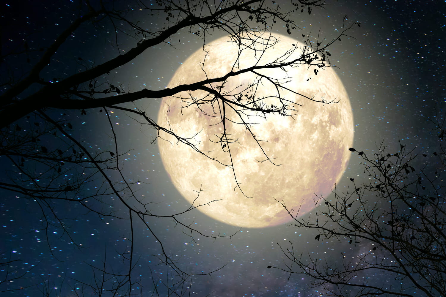 Full moon 2022 this November 8 what effects