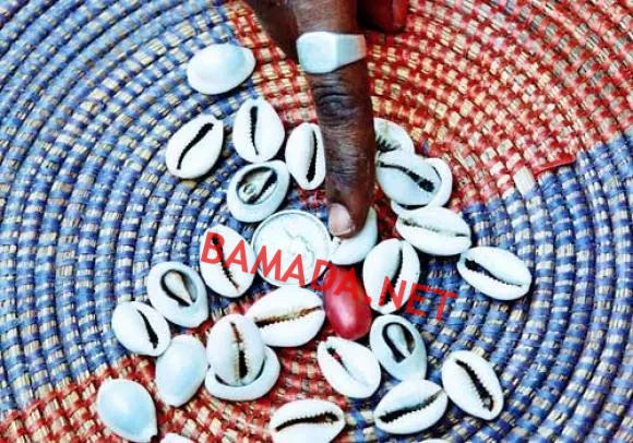 USES AND CUSTOMS The cowrie explained by Dr Fode Moussa