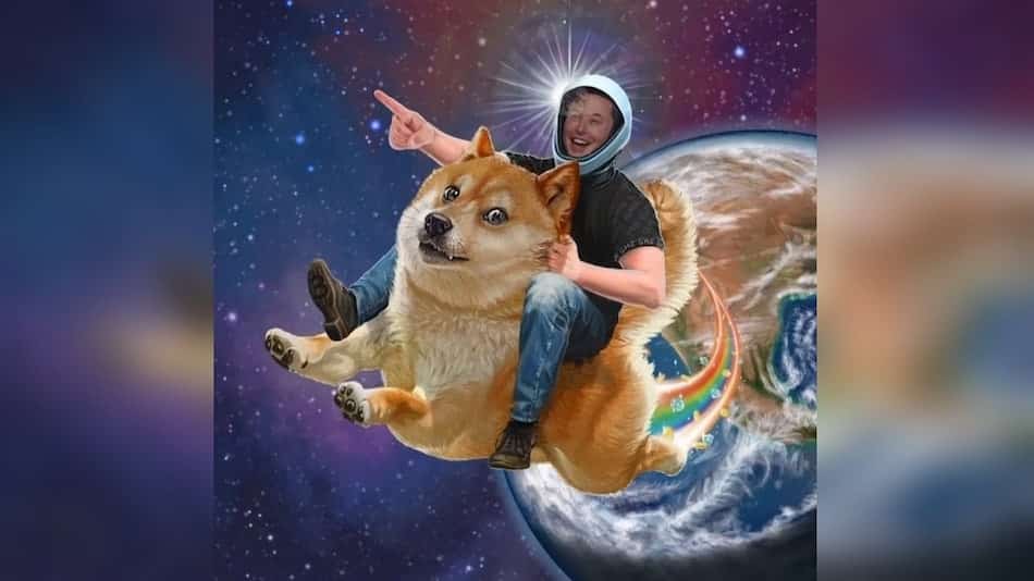 Dogecoin DOGE Elon Musk promises the moon to his favorite