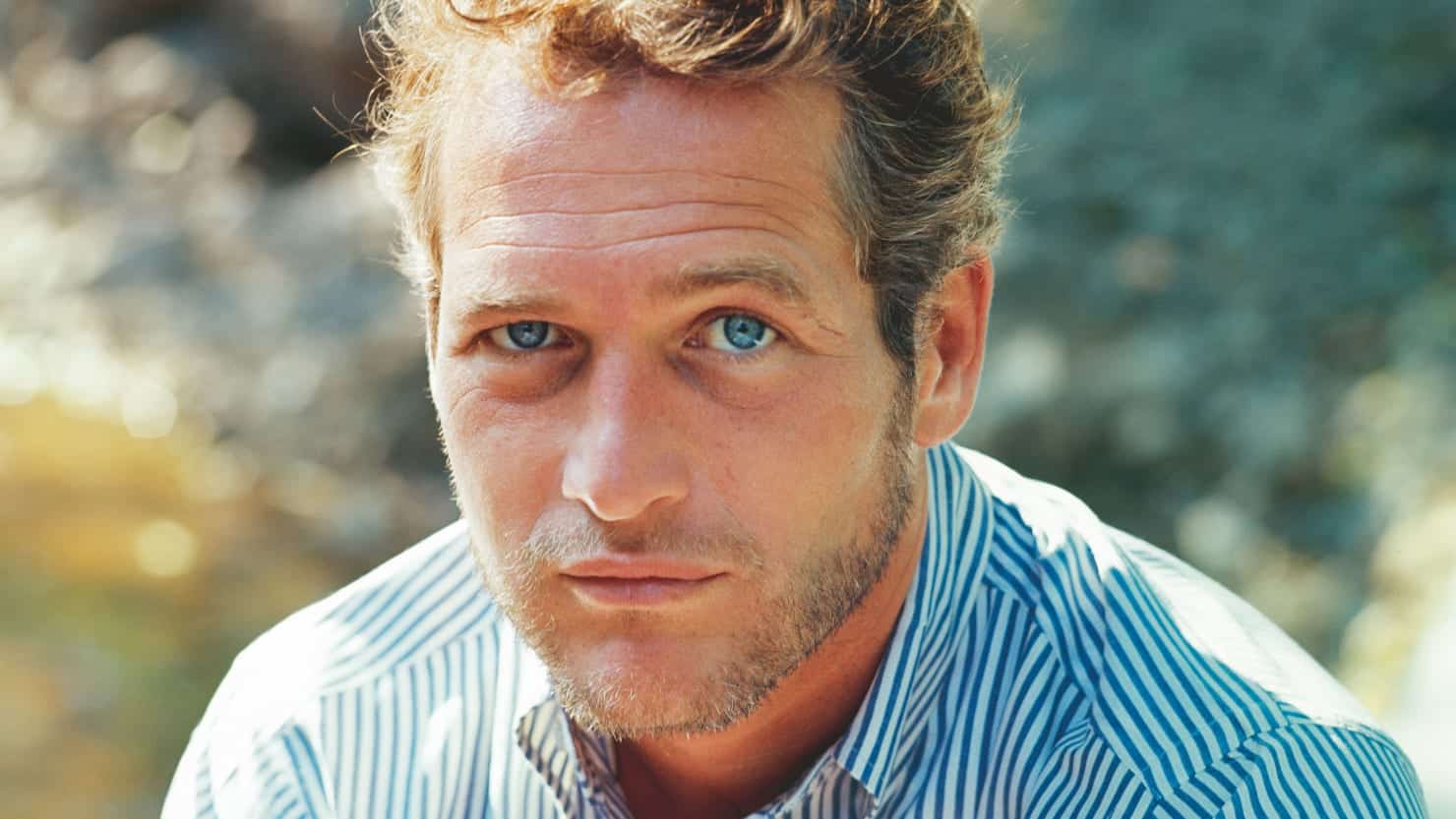 Paul Newman Ses 30 meilleurs films a voir et
