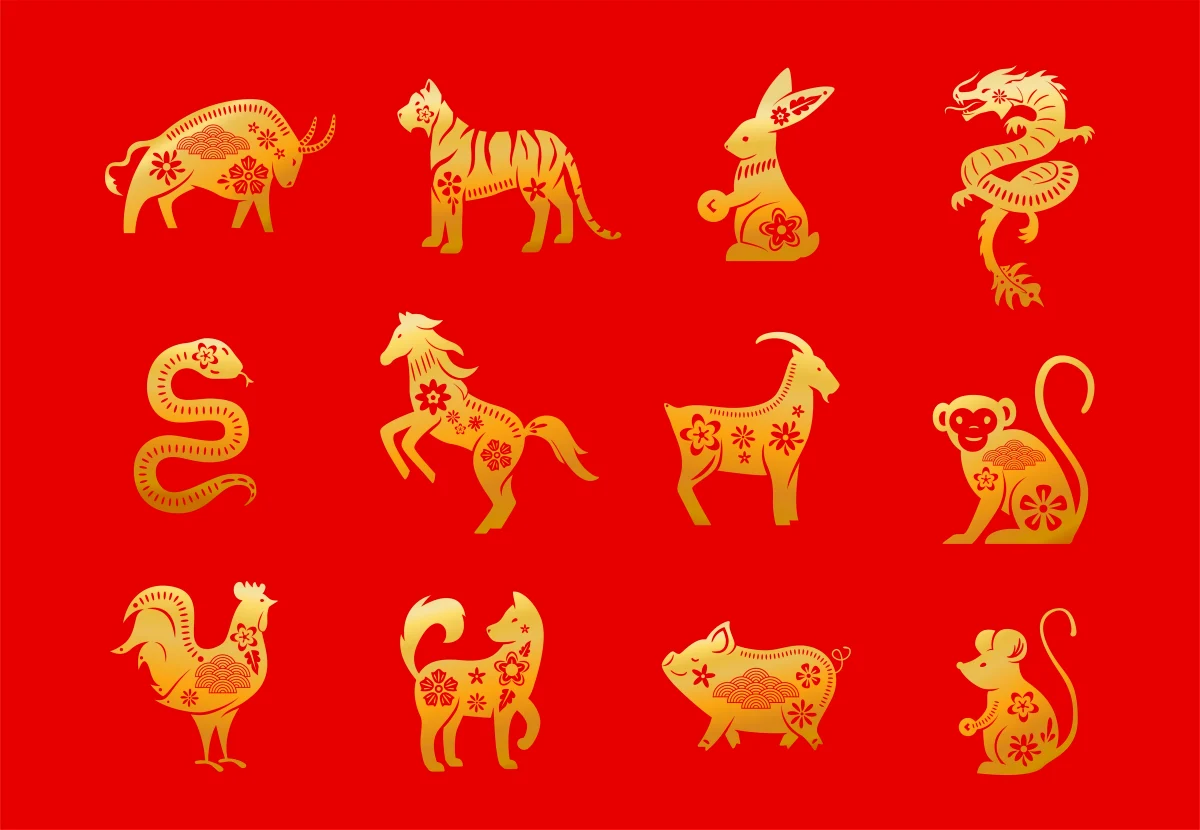 The most accurate horoscope 2023 which numbers will bring luck.webp