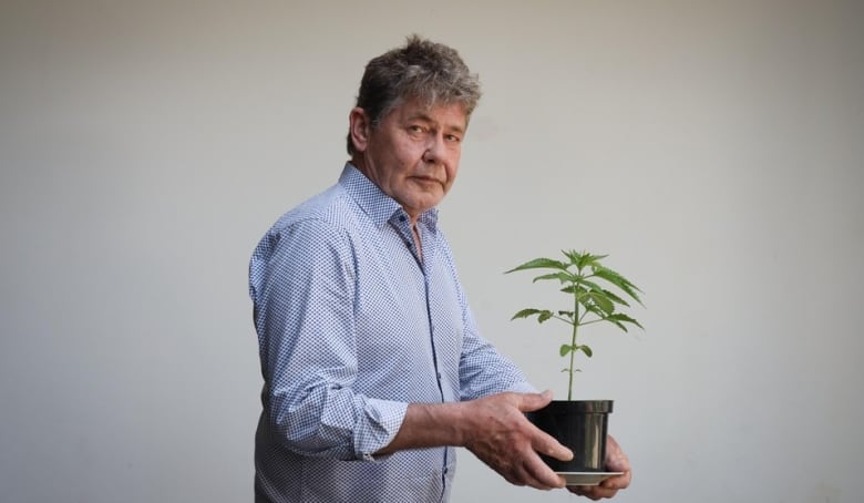 The man is holding a cannabis plant.