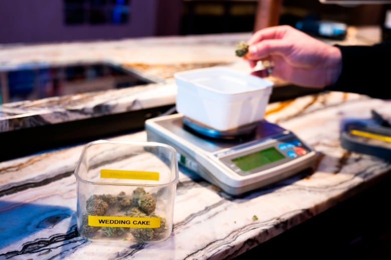 A cashier weighs marijuana for a customer at a cafe in downtown Amsterdam on January 8, 2021