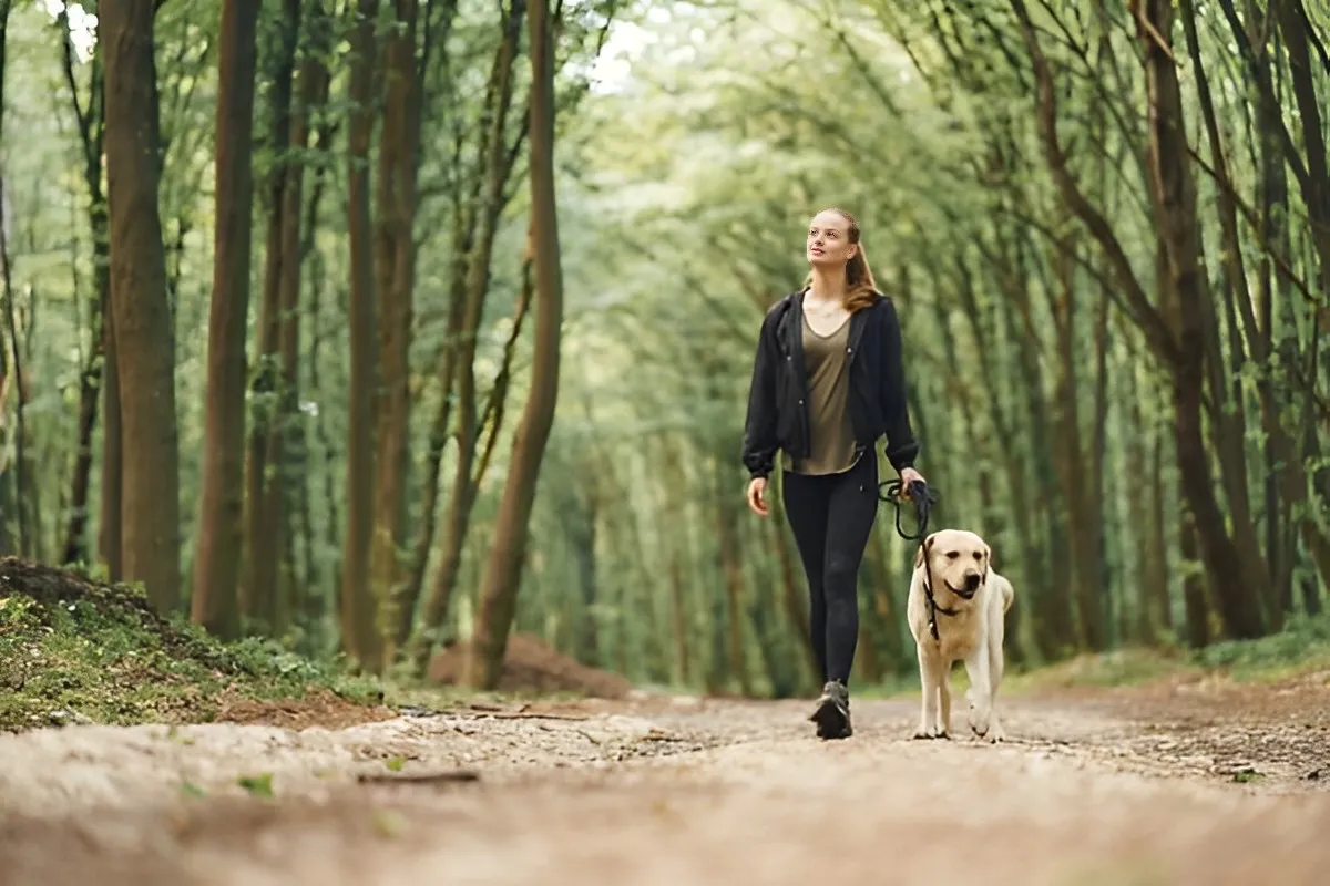 nature walk woman pet forest trees