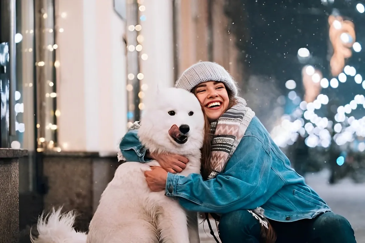 samoed breed dog friendship woman love companion snow