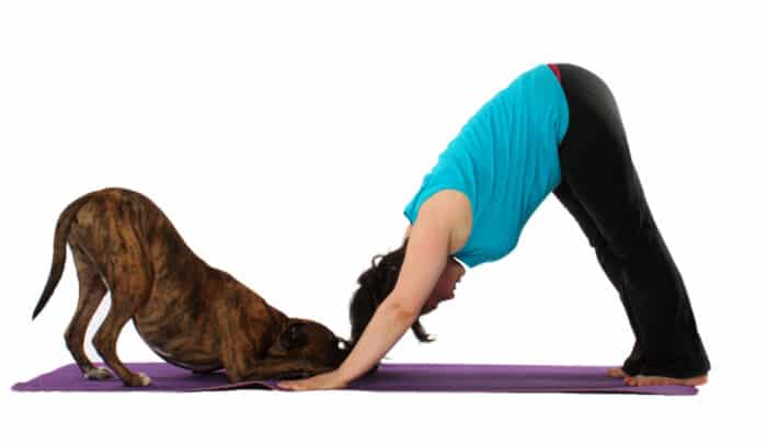 Tourism trends 2023 the year of the puppy yoga Etourismeinfo